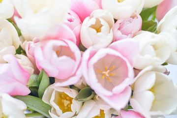 Beautiful bouquet tulips light pink and white flowers for 8 march or for your mom and perfect background closeup macro