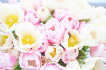 Fototapeta na wymiar Beautiful bouquet tulips light pink and white flowers for 8 march or for your mom and perfect background closeup macro