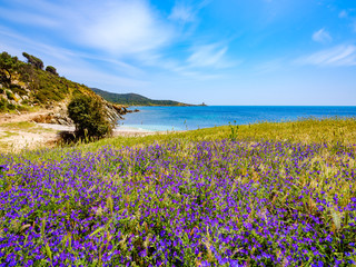 Free beach of Punta Libeccio - Cala Angioni overlooking the turquoise sea of ​​Sardinia