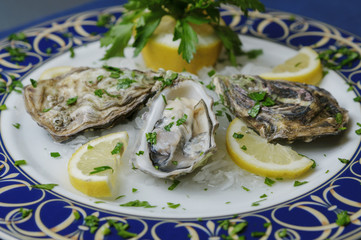 Plate with oysters and lemon