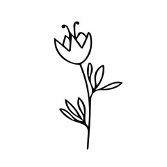 flower on a stem with leaves hand drawn in doodle style. element scandinavian monochrome minimalism simple vector element. plant, summer. design card, sticker, poster icon