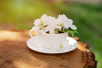 White spring apple blossoms blooming flowers in a coffee cup on a natural wooden background. Spring summer concept. Copy space.