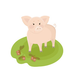 Cute cartoon pig with acorns and oak leaves on green grass. Vector hand drawn illustration.