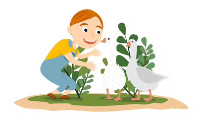 Boy in denim overalls plays with gray and white geese. Poultry in the tall grass. Farm and farming. Children's vector illustration