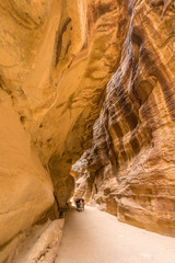 horse wagon in canyon at Petra, Jordan