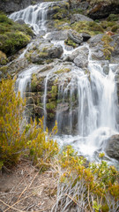 Cascading waterfall with silky water, portrait shot made on Routeburn Track, New Zealand