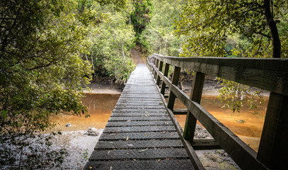 Fototapeta na wymiar Wooden bridge leading leading above muddy river in the jungle. Shot made on Stewart Island (Rakiura), New Zealand