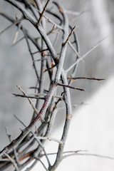 Crown of thorns as a symbol of death and resurrection of Jesus Christ. Vertical image.