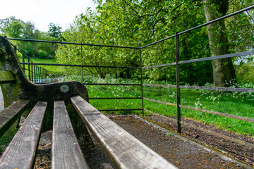 An interesting view from a park bench looking out to the side across the nature park and gardens near Sherborne Castle in Dorset.