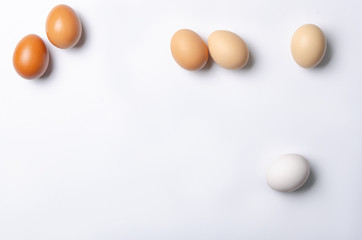 colored eggs on white ground