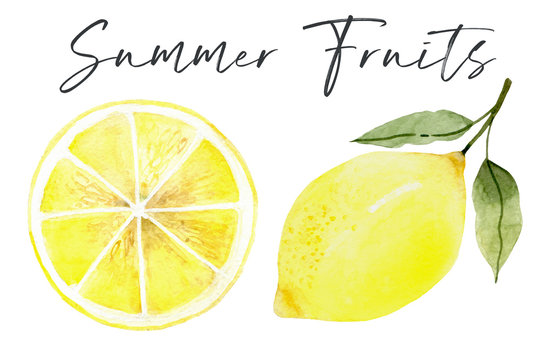 lemon. Fresh lemon fruits, collection of illustrations