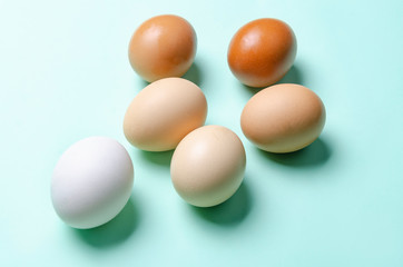 colorful eggs on green ground