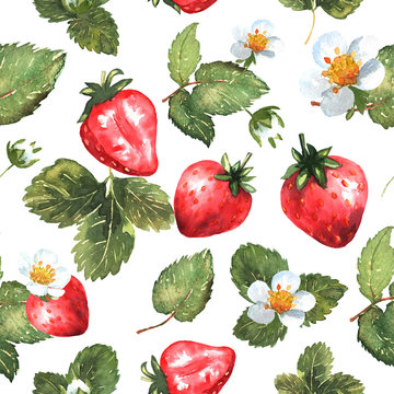 Berries seamless pattern in watercolor. Colorful background with red strawberries, leaves and flowers. Natural illustration. Spring blossom. Collection for print and cards. Vector.