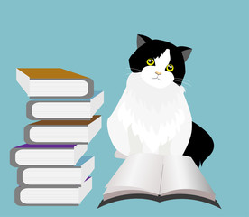 Adorable black and white tuxedo cat sitting with stack of books and opened books. Isolated on blue background. .Vector Illustration. 