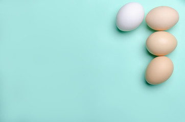 colorful eggs on green ground