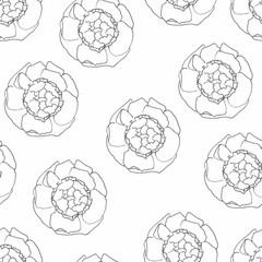 Grey peony flowers Seamless pattern. Hand drawn doodle illustration. For scrapbooking, packaging, fabrics, wallpaper, textiles
