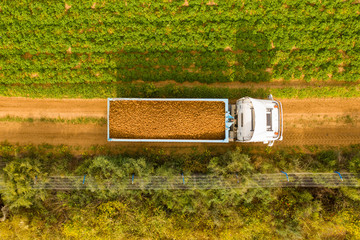 Truck loaded with fresh picked Potatoes crossing a filed, Aerial image.