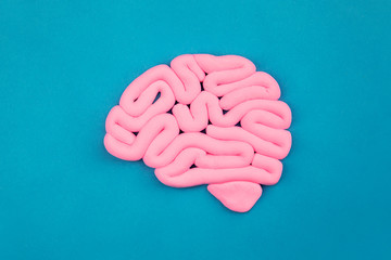 Model of pink human brain on blue background. Profile view, flat lay. Intelligence concept.	