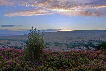 Naklejka na ściany i meble Dawn in the valley of Cappadocia. The first rays of the rising sun turn pink clouds. A city is visible in the distance. In the foreground plants with pink flowers.
