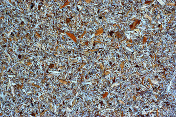 Texture of sawdust