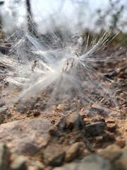 spider web in the grass