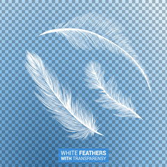 Feathers, white fluffy isolated falling plumes with transparent effect on blue background. Realistic 3D goose bird feathers quills with fluff plumage texture, flying and falling abstract shapes design