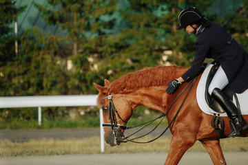 Young woman in special uniform and helmet riding horse. Equestrian sport - dressage.