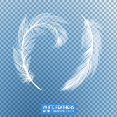Feathers, white fluffy isolated falling plumes with transparent effect on blue background. Realistic 3D goose bird feathers quills with fluff plumage texture, flying and falling abstract shapes design © ilonitta