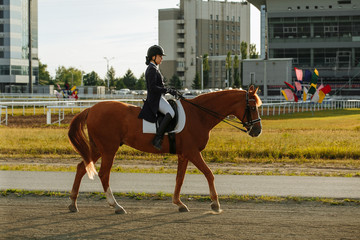 Young woman in special uniform and helmet riding horse. Equestrian sport - dressage.