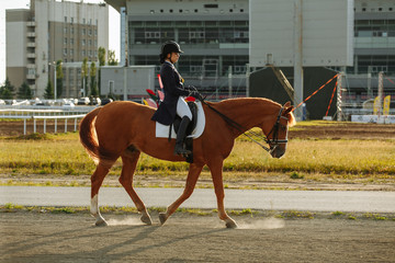 Young woman in special uniform and helmet riding horse. Equestrian sport - dressage.