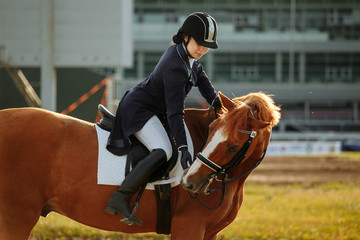 Young woman in special uniform and helmet riding horse. Equestrian sport - dressage.
