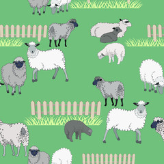 A flock of cute lambs on a green meadow.Colorful stylish floral. Template for the design of print, fabric, wallpaper and box.