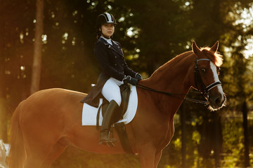Young woman in special uniform and helmet riding horse. Equestrian sport - dressage.