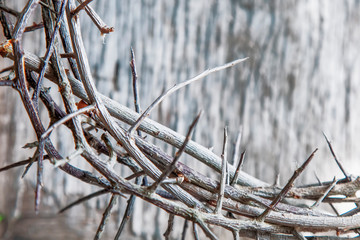 Fragment of crown of thorns as a symbol of death and resurrection of Jesus Christ