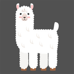 Lama flat style.Cute animal drawing for children s textiles, postcards.Vector illustration