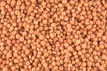 Lentils pattern as background texture