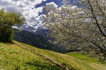 Odle of Funes in Southtirol in Italy by zippl