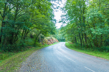 Fototapeta na wymiar Highway runs through vegetation in the irati jungle in Spain