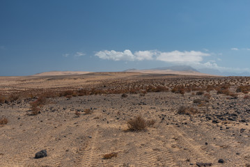 desert island panorama of Fuerteventura canary archipelago