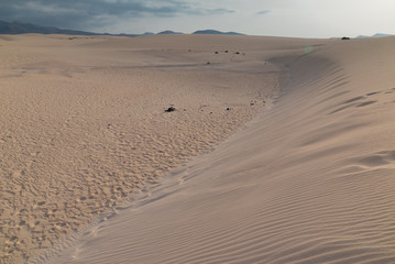 Obraz premium sunset desert of Fuerteventura canary archipelago