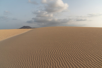 dunes in the Sand desert at sunset