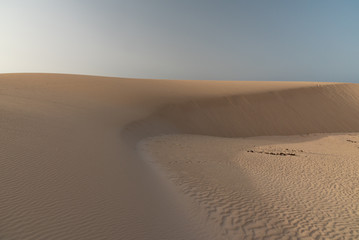 Fototapeta na wymiar dunes in the Sand desert at sunset