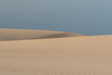 dunes in the Sand desert at sunset