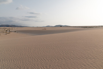 dunes in the Sand desert at sunset