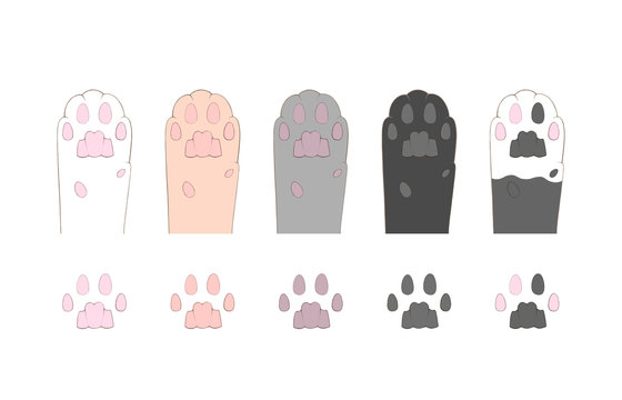 2 223 Best 肉球 Images Stock Photos Vectors Adobe Stock