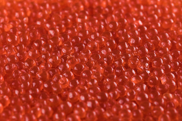 Red caviar. Salmon caviar close up.