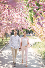 Fototapeta premium guy with a girl in sakura romance and love