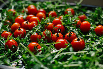 fresh small tomatoes on fresh arugula leaves