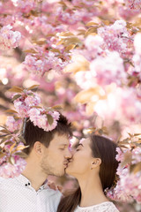 Obraz premium guy with a girl in sakura romance and love