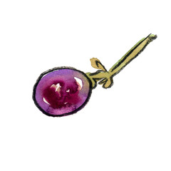 a bunch of sweet red grapes. grape on a twig.

